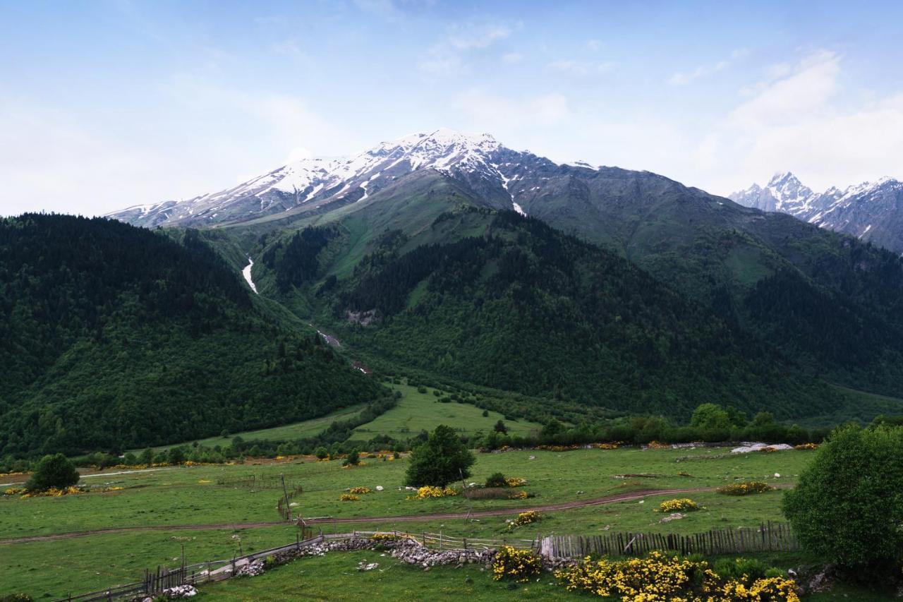 Panorama Ushba Otel Mestia Dış mekan fotoğraf